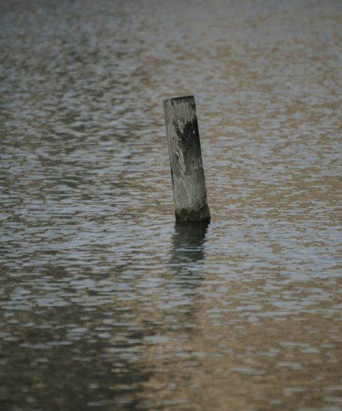 Minimalist artistic representation of focus and stability in motion